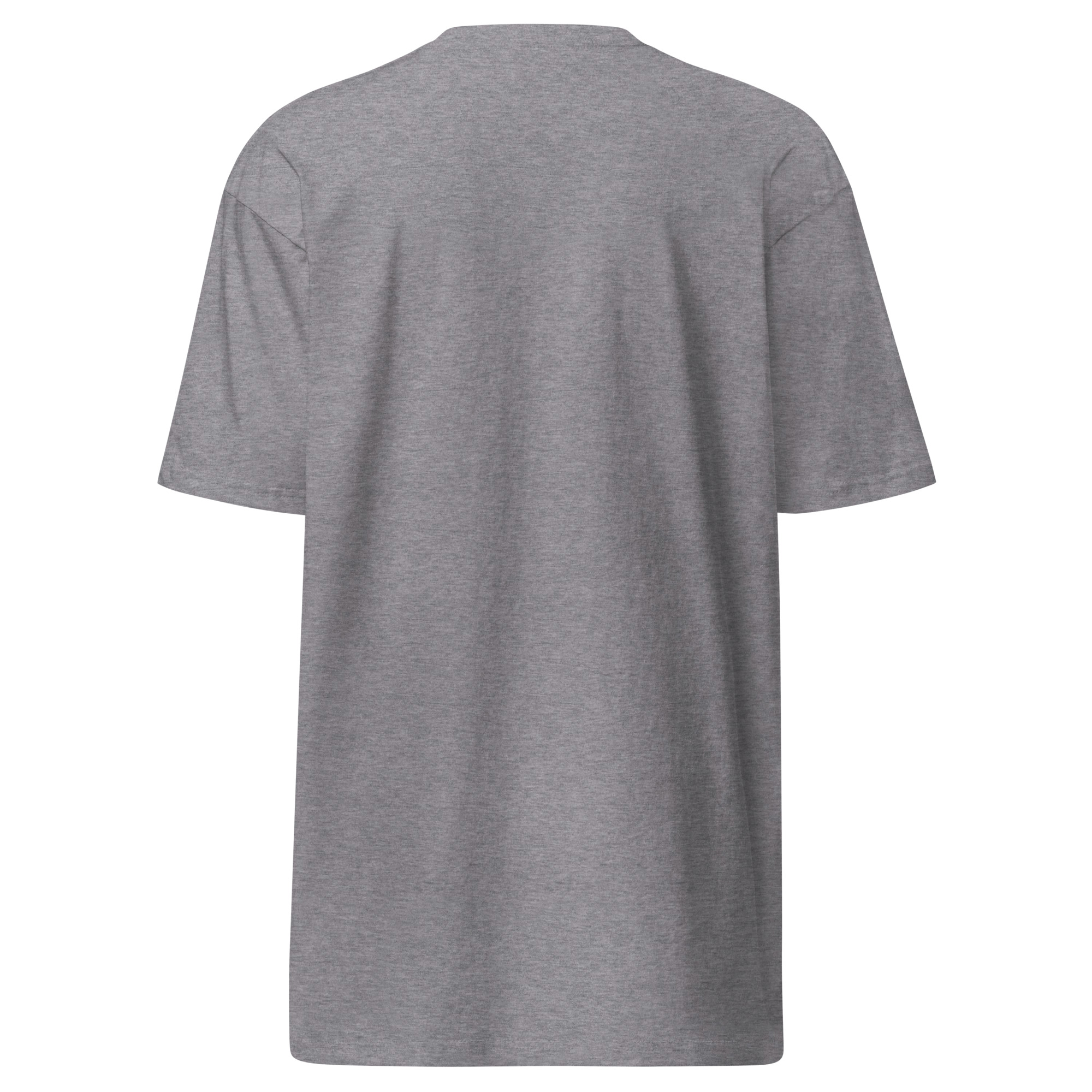 mens-premium-heavyweight-tee-carbon-grey-back-670f84c0ad8ff.jpg