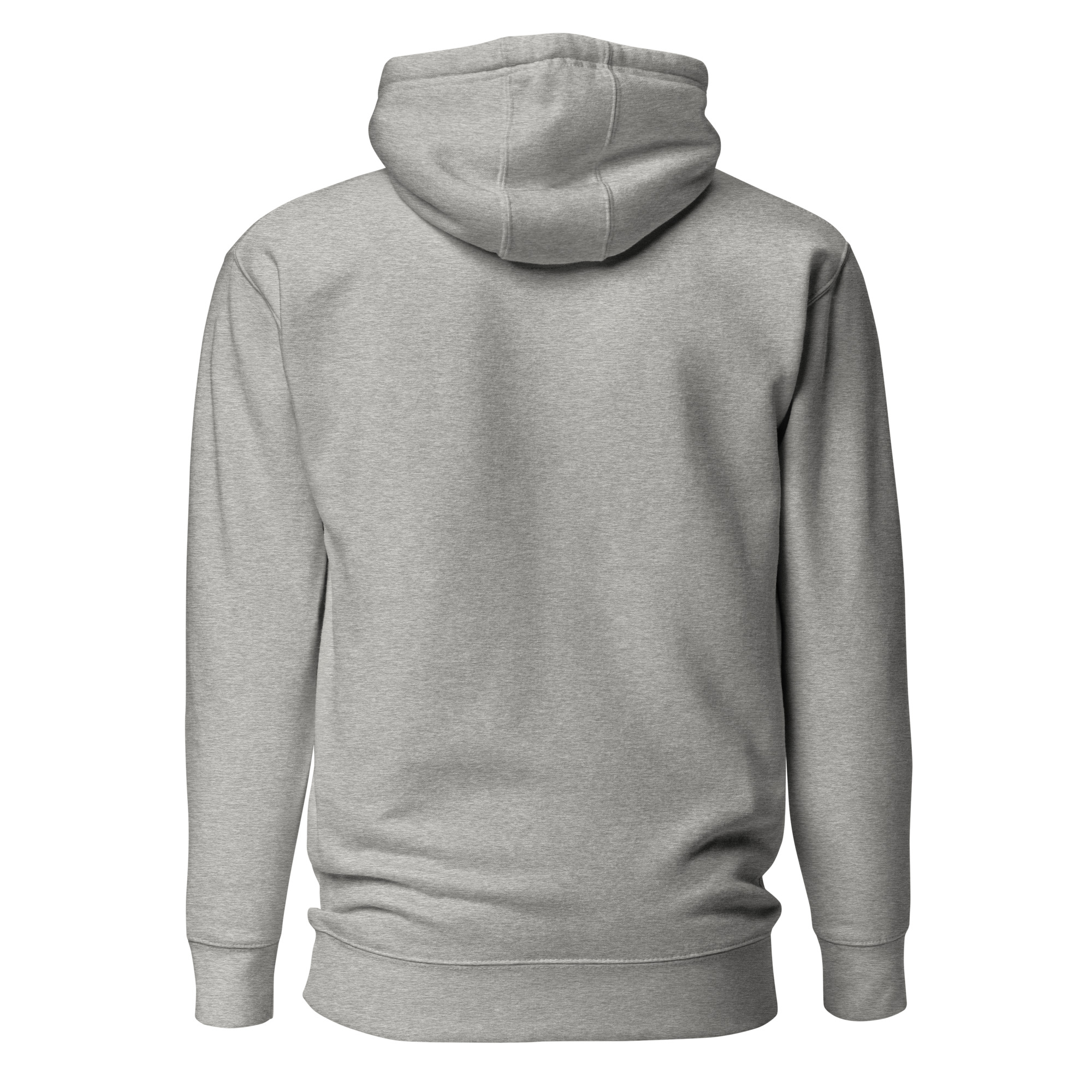 unisex-premium-hoodie-carbon-grey-back-670f6f3759aea.jpg